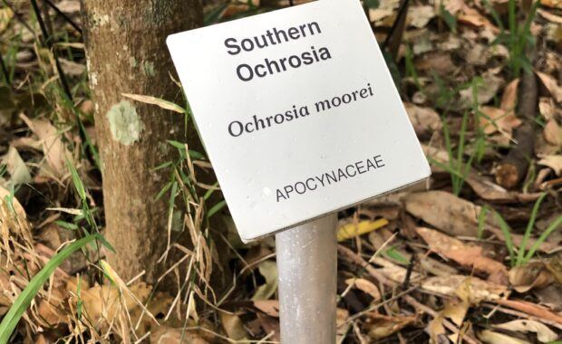 Standard Botanical Label