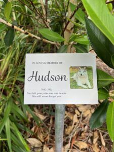 Memorial plaque featuring a photo of a beloved dog, mounted on a stake. The plaque is engraved with a heartfelt message in honor of the dog's memory, surrounded by a simple design of paw prints. The image captures the dog's joyful expression, forever cherished in this tribute