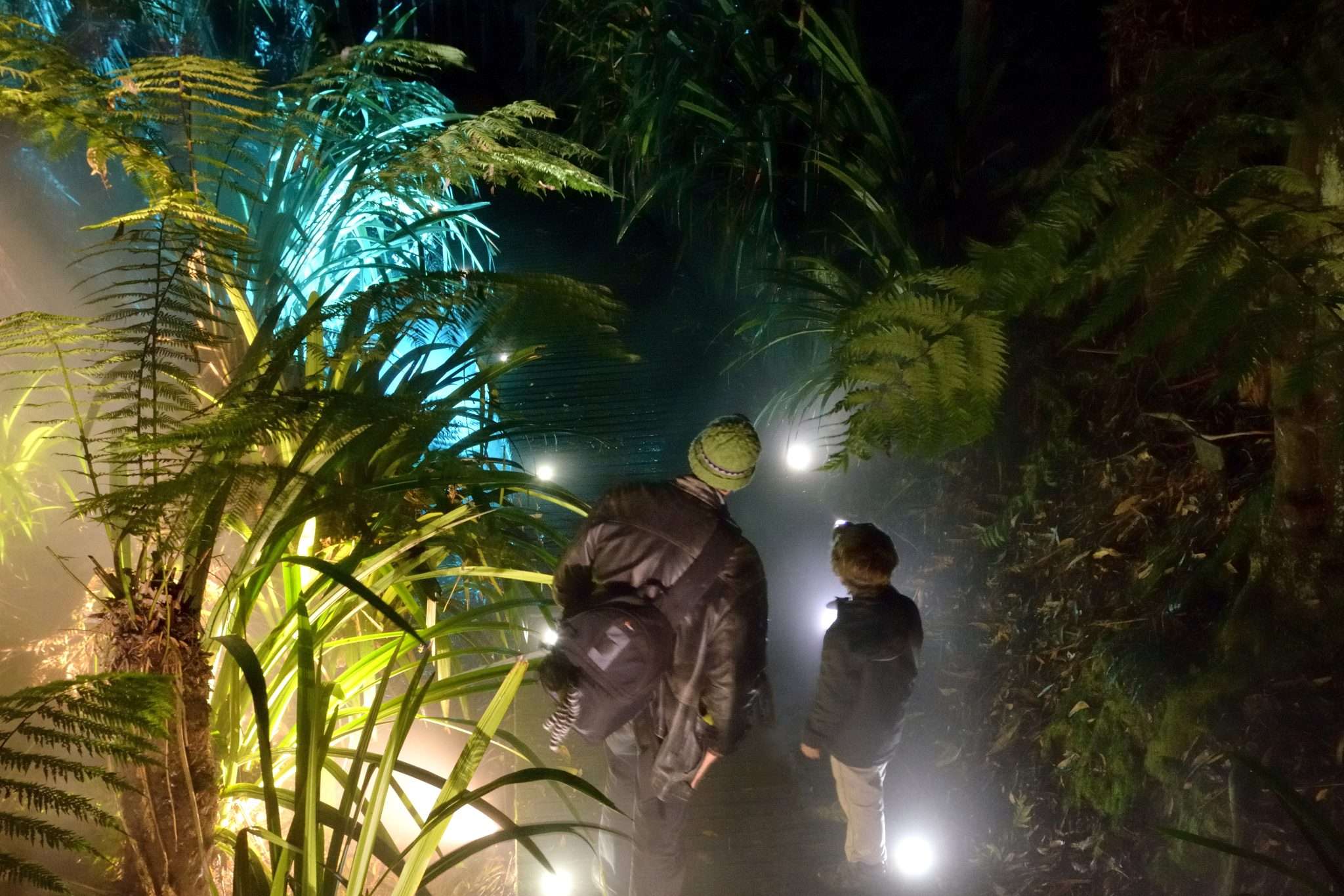 afterdark rainforest people