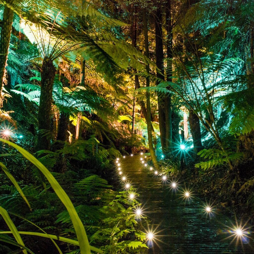 anbg image twilight