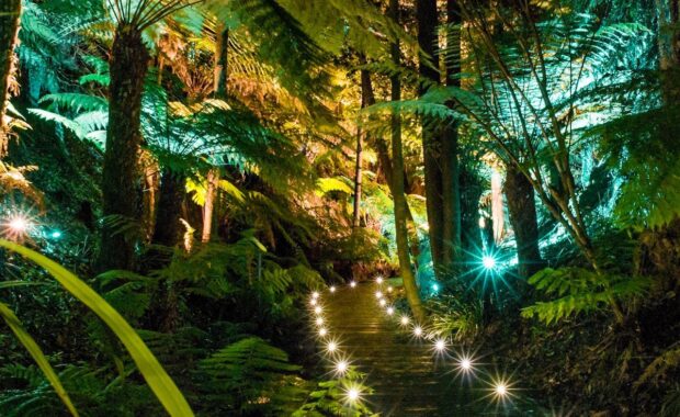 anbg image twilight