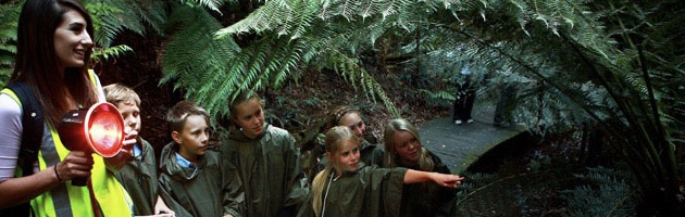 school twilight tours