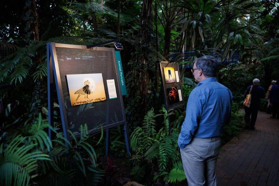 wildlife photographer of the year